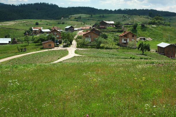 На 24 юни започва приемът на проекти за модернизиране на стопанства по ПРСР